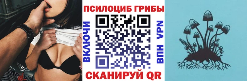 Галлюциногенные грибы Psilocybine cubensis  купить наркотики цена  Ковров 