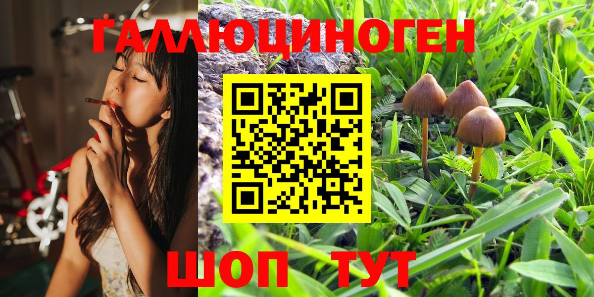 Ковров  Псилоцибиновые грибы Psilocybe  наркотики  Вход с VPN 