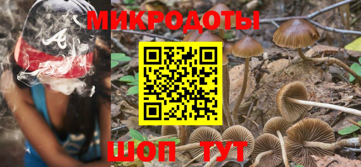 Галлюциногенные грибы MAGIC MUSHROOMS Ковров
