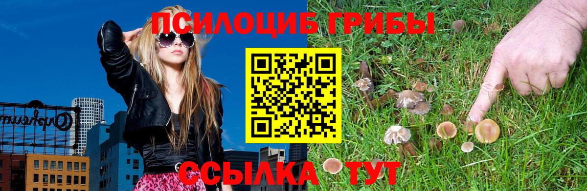 Марихуана  Гашиш  Вход с VPN  Ковров  Бошки Шишки  Меф МЯУ МЯУ кристаллы 